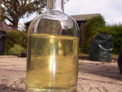 Chilli and Lime Gin: Adventures of the Gin Kind