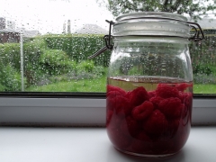 A Spirited Adventure: Raspberry Gin