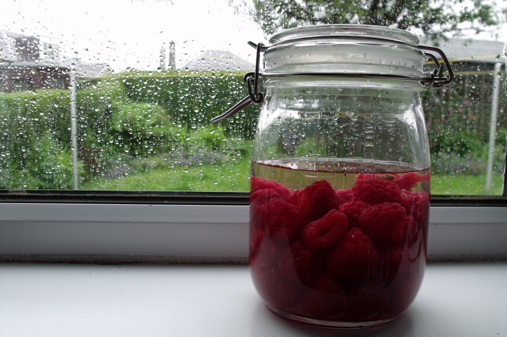 Homemade raspberry gin