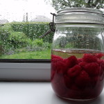 Homemade raspberry gin