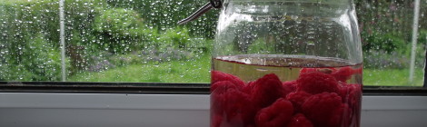 A Spirited Adventure: Raspberry Gin