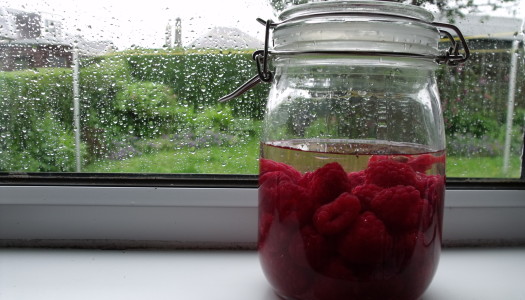 A Spirited Adventure: Raspberry Gin